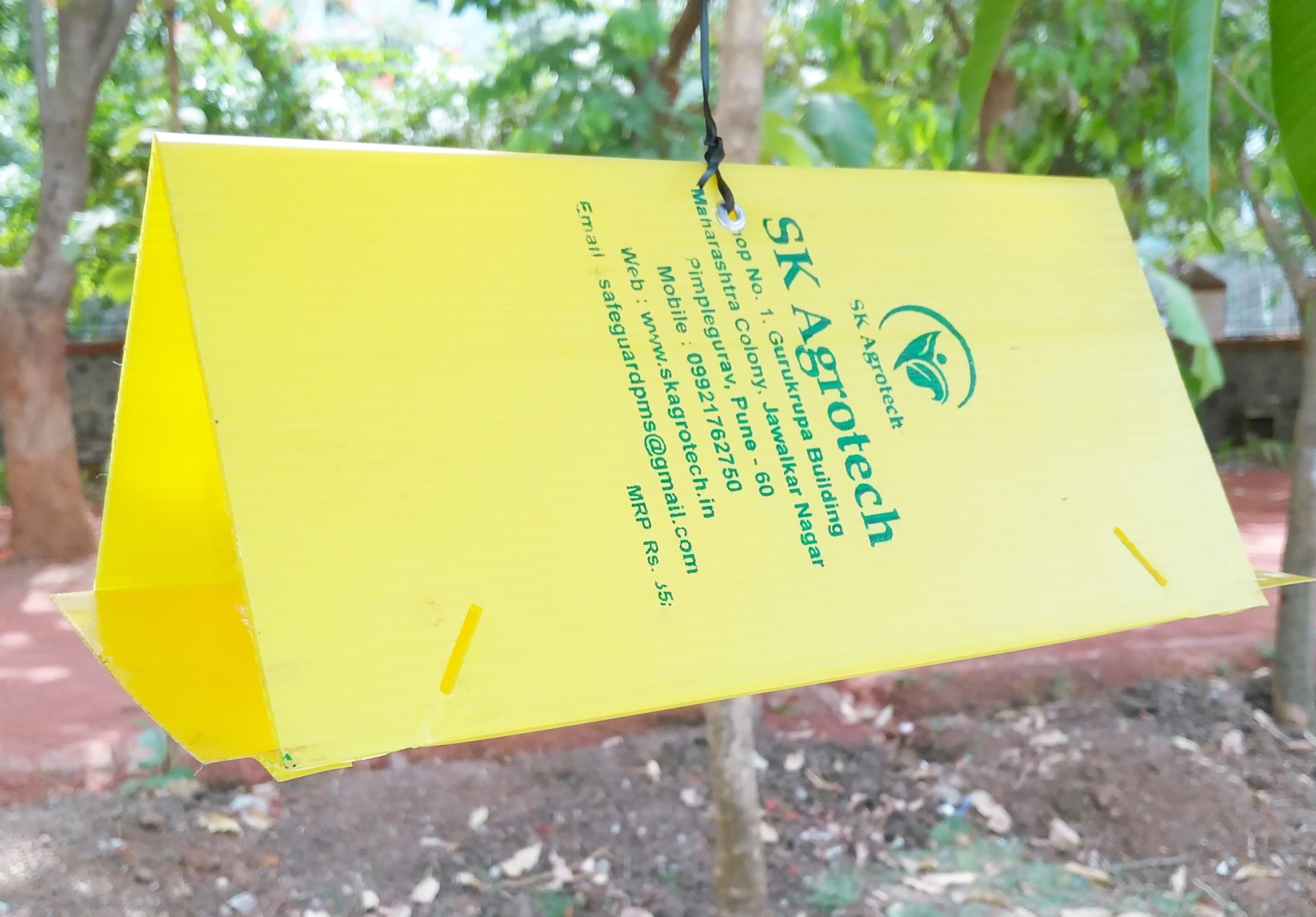 Delta Sticky Insect pheromone Trap Used for brinjal Shoot Borer & Tomato Leaf Miner (50) (B0BXJR82W3) Amazon Price History, Amazon Price Tracker