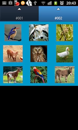 Pets Sounds