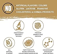 Vista 4 de Ambrosia Planta - Polvo de proteína a base de plantas 20g Polvo de proteína vegana sin lácteos con aminoácidos BCAA Apto para dieta cetogénica