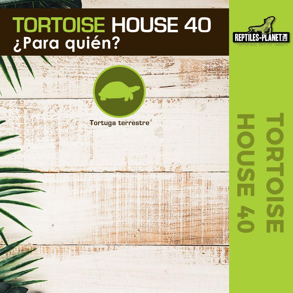 Reptiles Planet - Tortoise House 40 - Refugio para Tortuga Terrestre