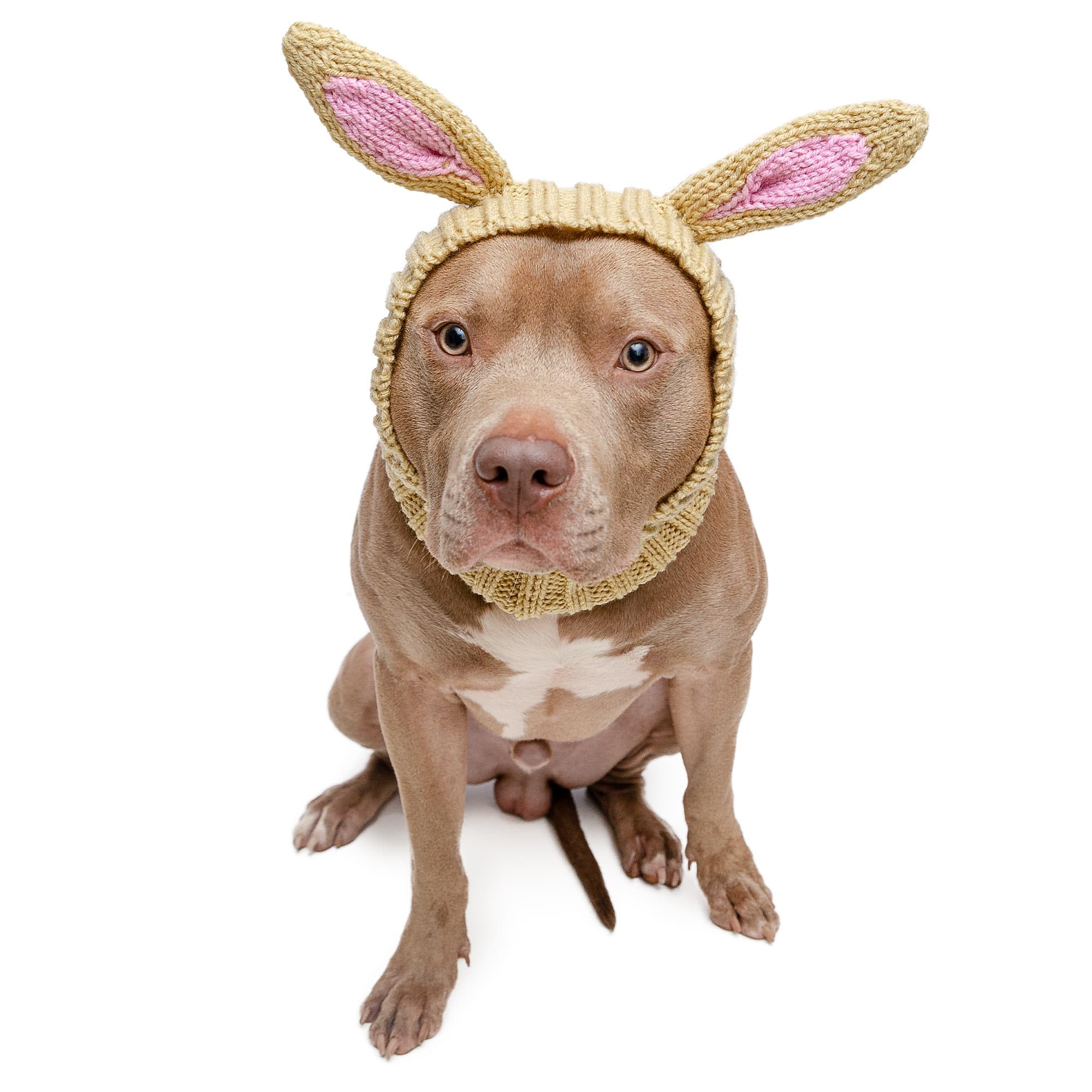 Zoo Snoods Jack Rabbit Snood