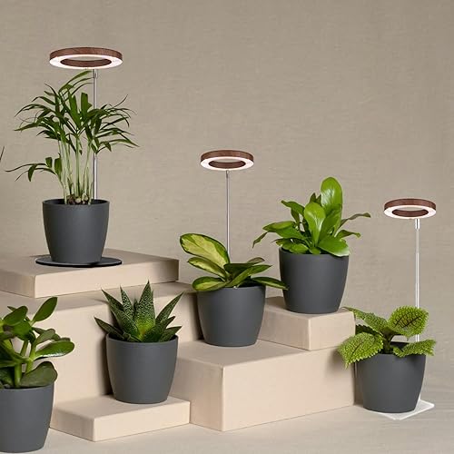 Miniatura 62 de yadoker Luz de cultivo de plantas, luz LED de espectro completo para plantas de interior, altura ajustable, temporizador automático, bajo voltaje