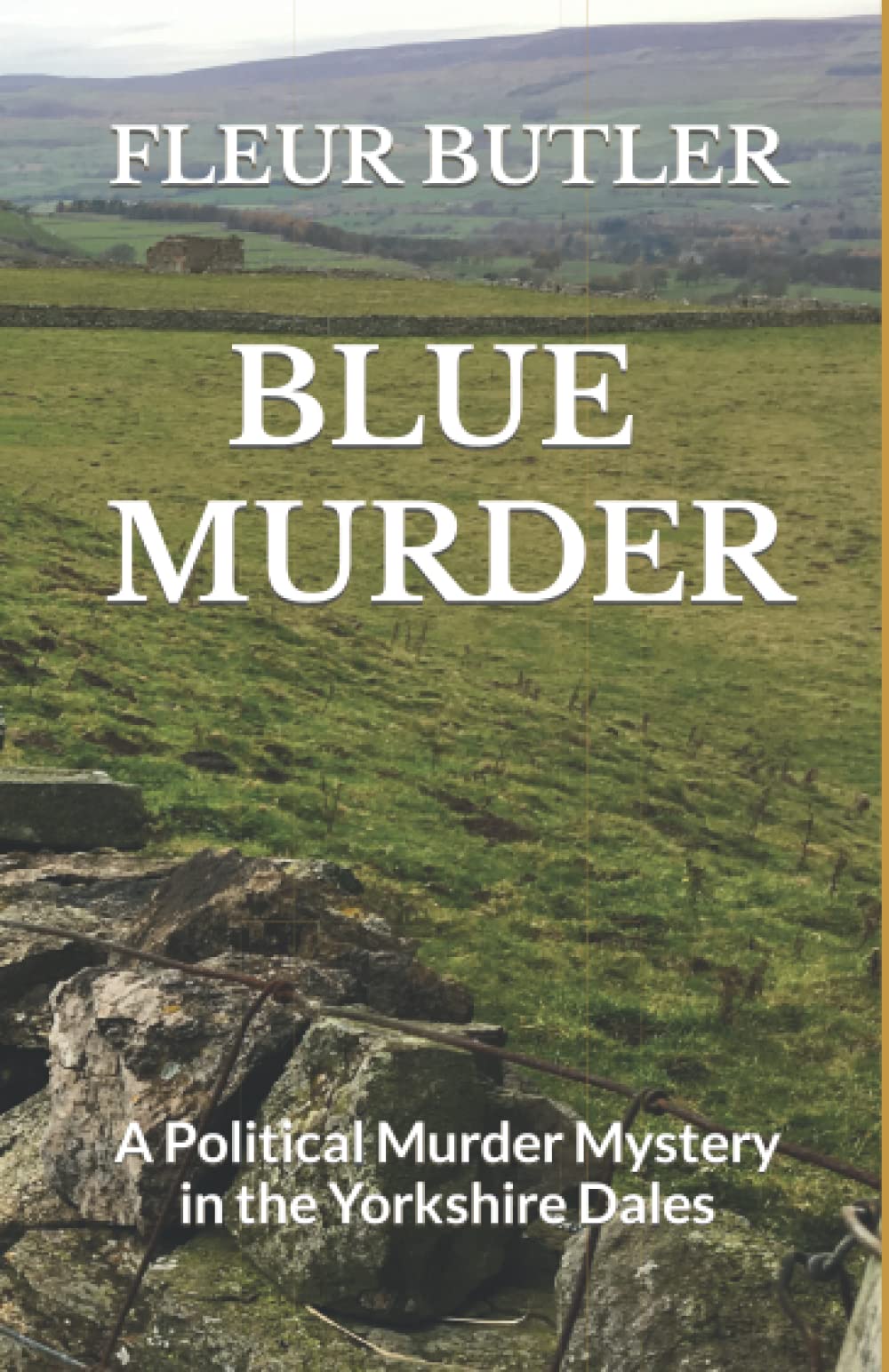 Blue Murder: A Political Murder Mystery in the Yorkshire Dales