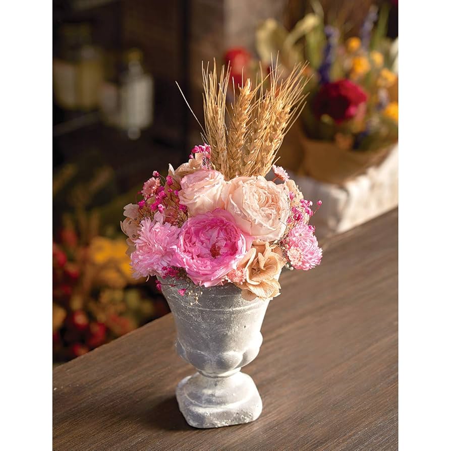 Amazon｜大地農園 ドライフラワー プルームリード 約L75㎝ 5本入