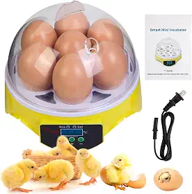 Incubadora de ovos de codorna para incubação, chocadeira de codorna pequena, incubadora de ovos de aves ao ar livre, adequada para codorna, papagaio, canário e outras aves (amarelo 03)