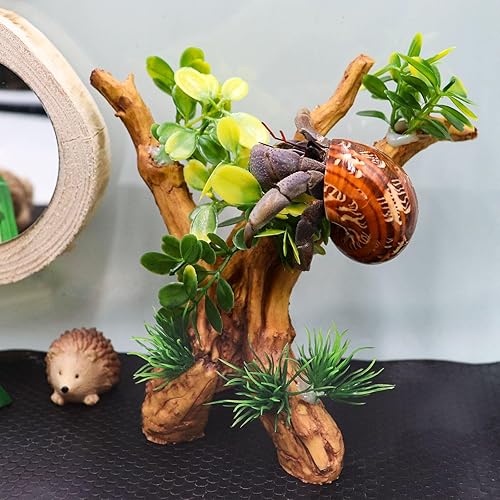 Miniatura 3 de Juguete de escalada de cangrejo ermitaño, cuevas de escondite de peces betta de acuario, adorno de tronco de árbol de resina, decoraciones de tanque