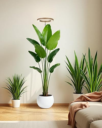 Miniatura 82 de yadoker Luz de cultivo de plantas, luz LED de espectro completo para plantas de interior, altura ajustable, temporizador automático, bajo voltaje