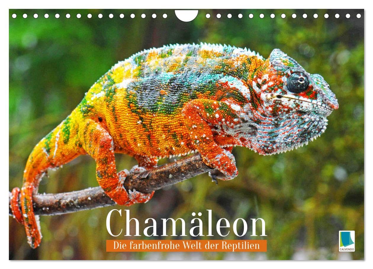 Chameleon: The Colourful World of Reptiles (Wall Calendar 2026 DIN A4 Landscape), CALVENDO Monthly Calendar