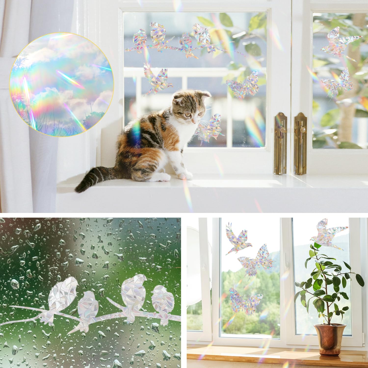 24 Autocollants Fenêtre Papillon Anti-collision Oiseaux - Effet Arc-en-ciel, Réutilisables, Sans Colle, Décoration écologique