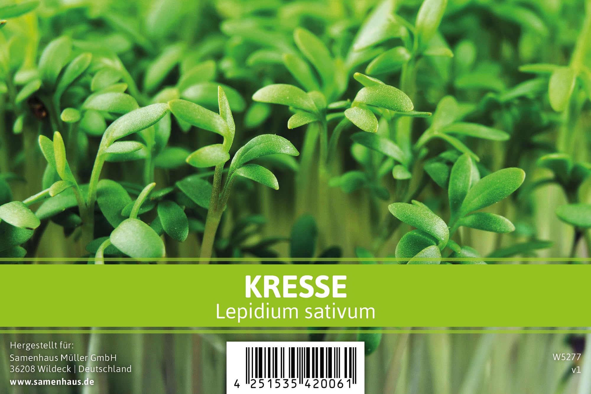 FLORTUS Kressesamen für Gastgeschenke (500 Stück) | Kleine Geschenktüten Sprossen Samen für Kresse als Dankeschön Geschenke & Werbegeschenke | Kräutersamen für Microgreens