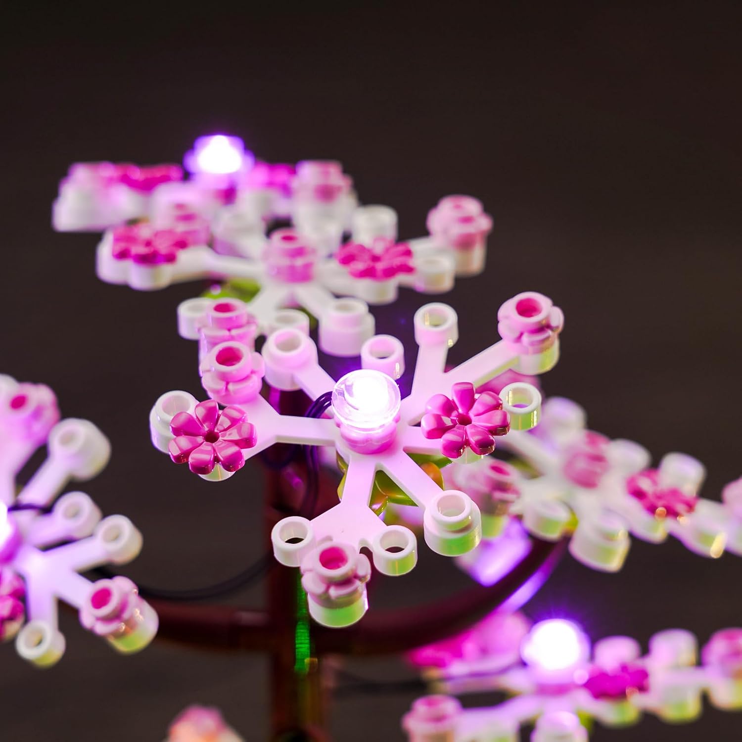 LED Light Kit for Lego Tranquil Garden 10315, Decorative Lights are Perfect for Christmas Gifts (Lights Only, No Lego Models)