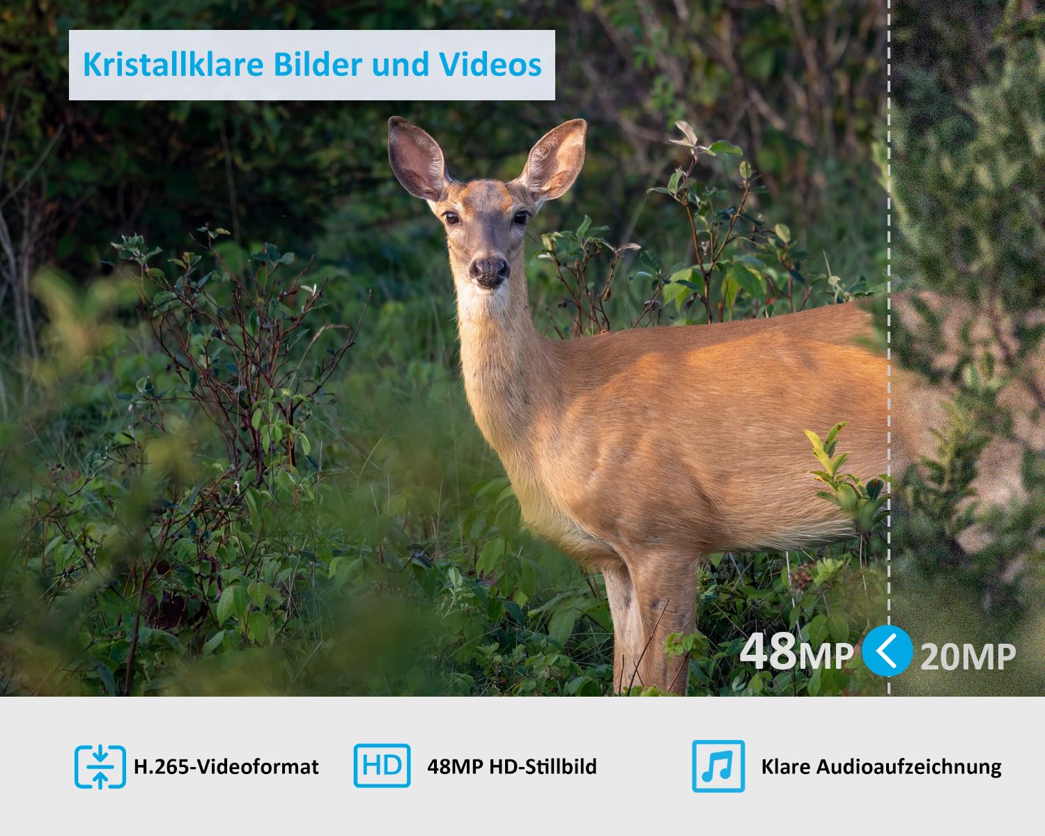 GardePro X20 4G LTE Wildkamera mit SIM-Karte und App, 48MP 1296P H.265 Video, No Glow Nachtsicht Bewegungsmelder, 4G Jagdkamera Wildtierkamera Handyübertragung, IP66 Fotofalle