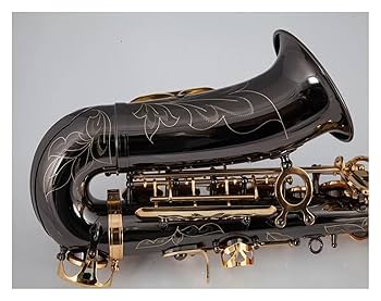 esax アルトサックス用 Amazon.co.jp: サックス アルトサックス 管楽器 ブラック