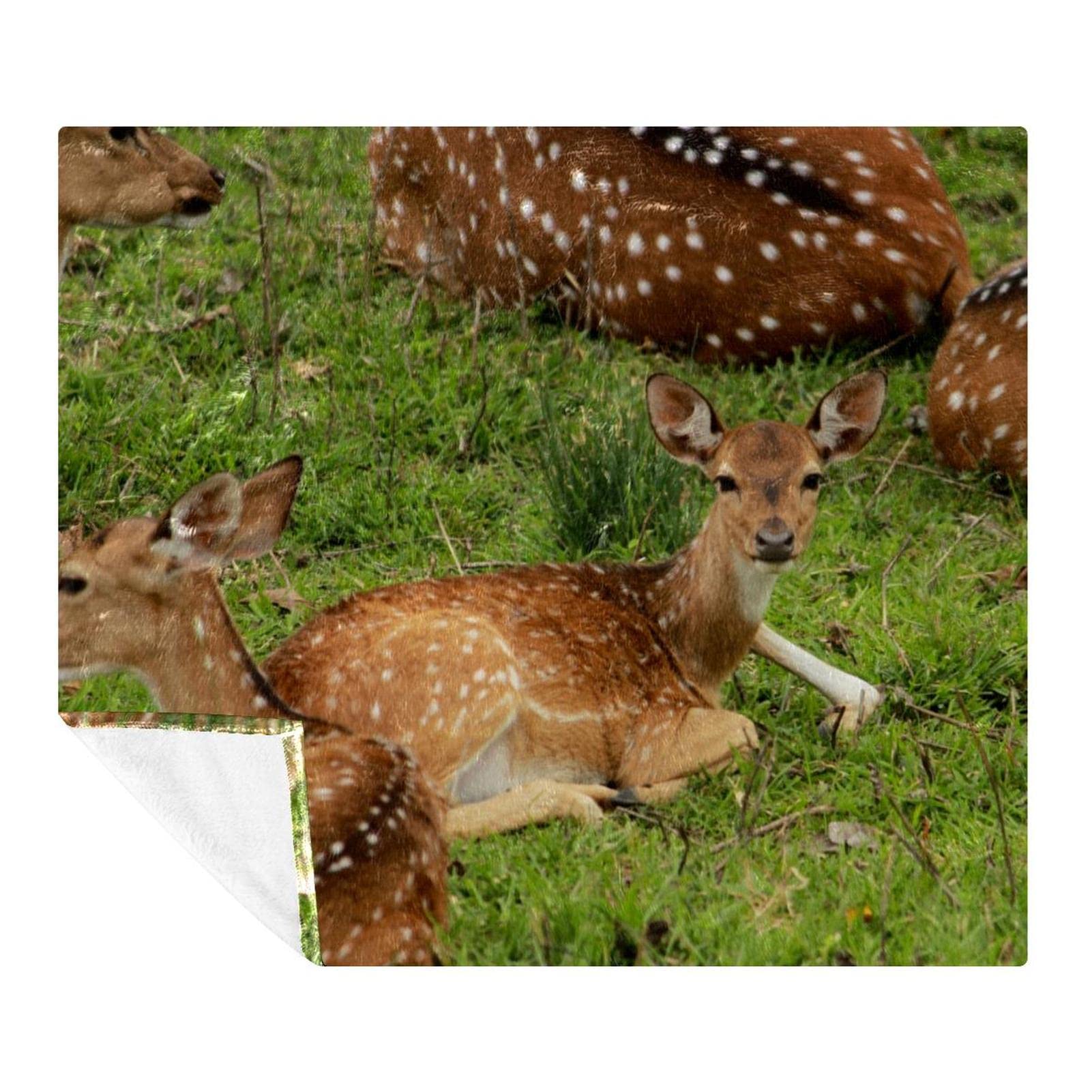 Couverture canapé pour vos soirées télé | Plaid polaire 150x130
