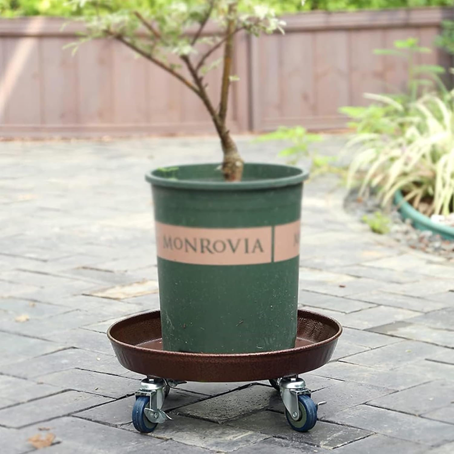 Plant Stand with Wheels Heavy Duty 20 inch, Lockable ,Rolling Plant Stand with Wheels,Large Rolling Dolly Planter Caddy on Casters for Indoor and Outdoor, Garden Settings,NO Holes, Copper,One Pack, 490lb