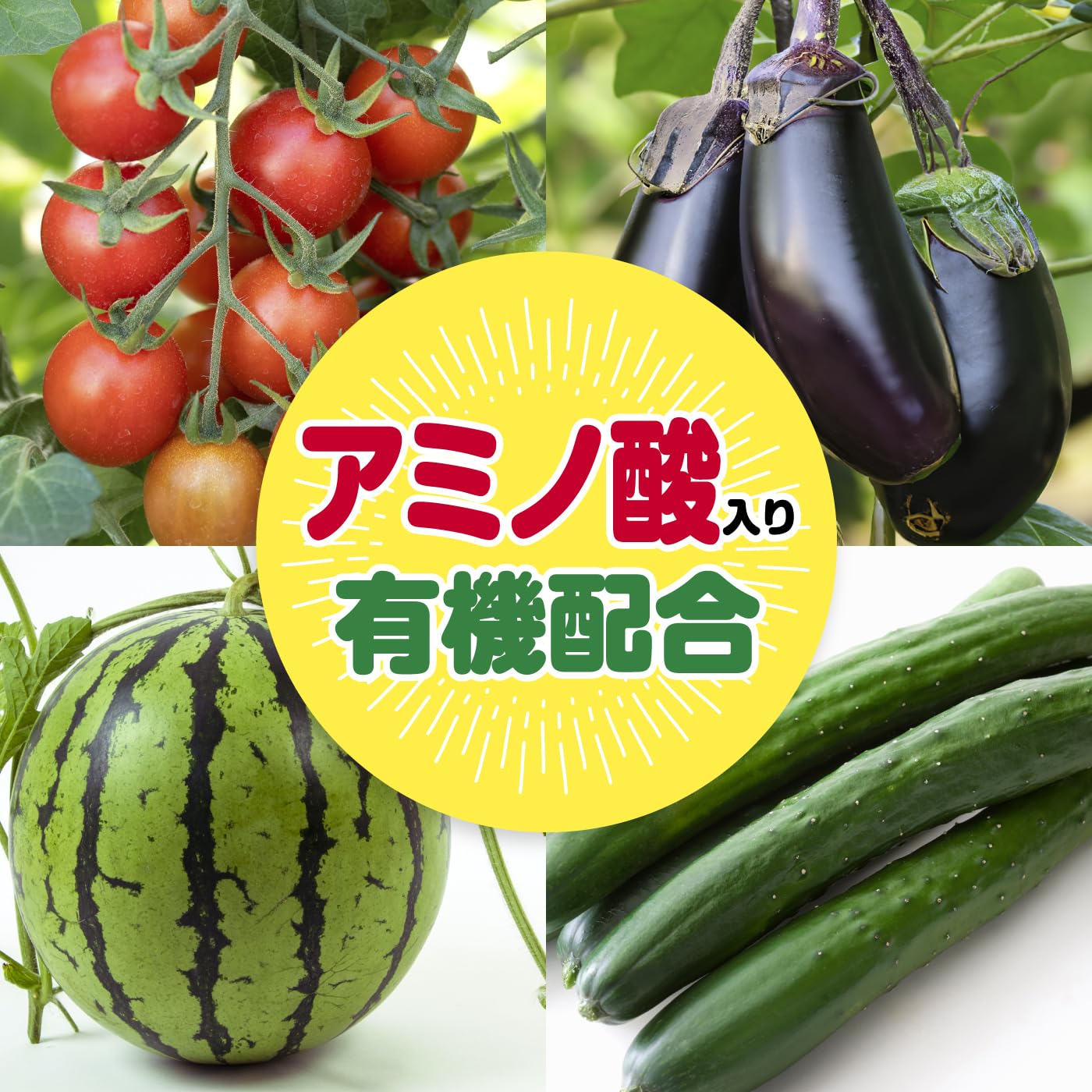 夏野菜 DSC01923.jpg