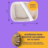 Ver la foto 4