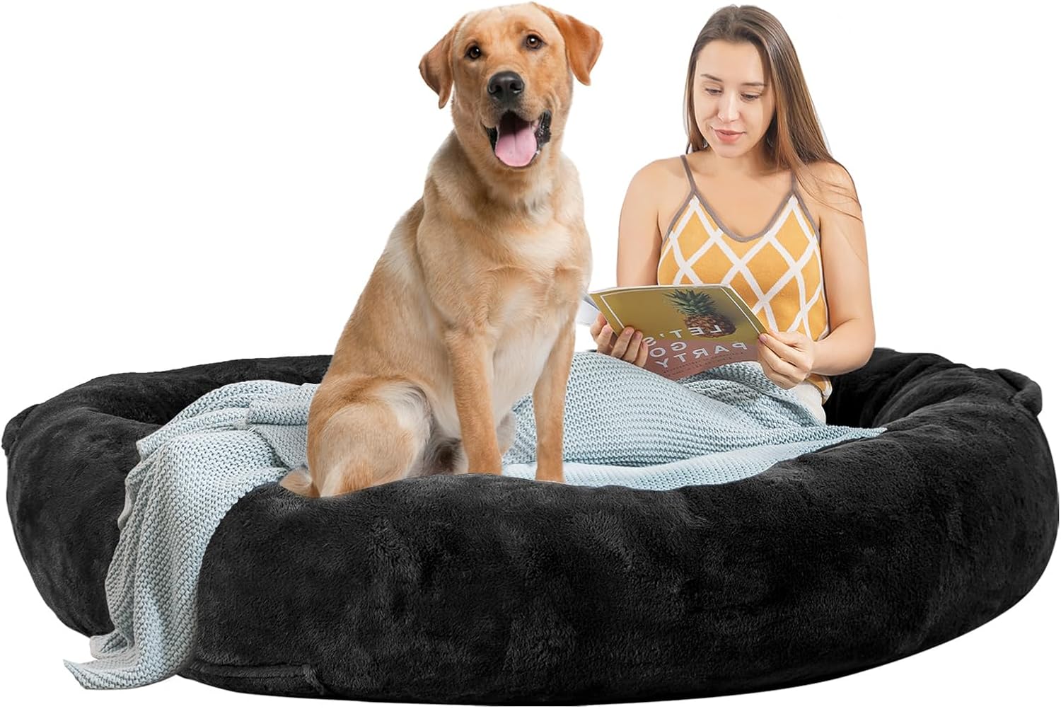 What Size Dog Bed Should I Buy at Kathleen Hardison blog