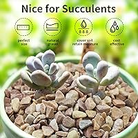Vista 4 de Grava natural pequeña tipo guisante de 2 libras, guijarros de 3/8 pulgadas para plantas de interior, suculentas, peceras, terrarios, piedras