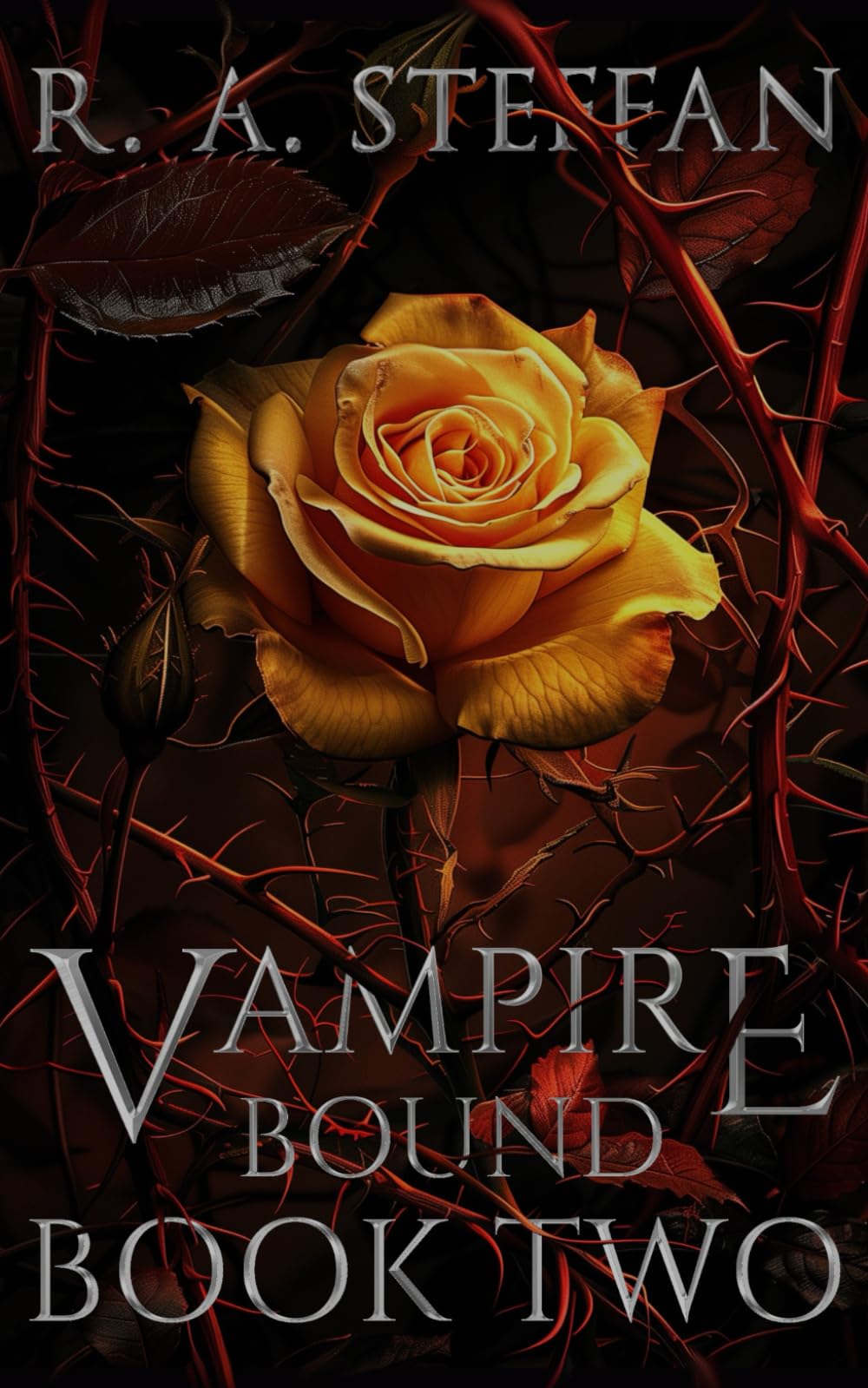 Vampire Bound: Book Two