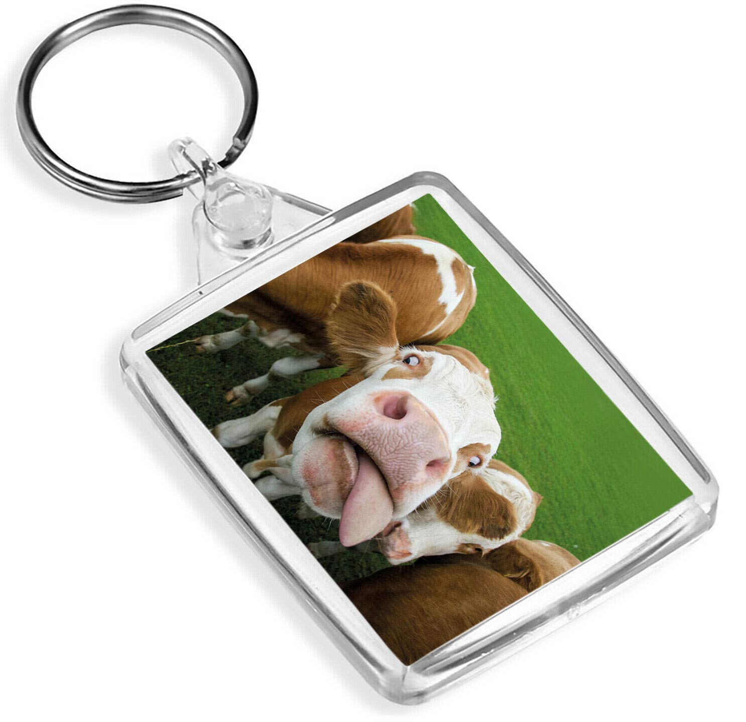 Destination Vinyl Keyrings Silly Cow Keyring Cattle Farm Animal Funny Cows Fun Keyring #12444