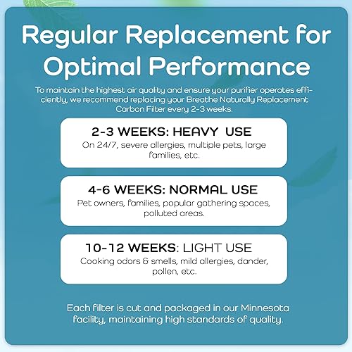 Miniatura 9 de Breathe Naturally Filtros de repuesto compatibles con purificadores de aire Winix C535, Plasmawave 5300, 6300 y Aeramax 300290, filtros HEPA