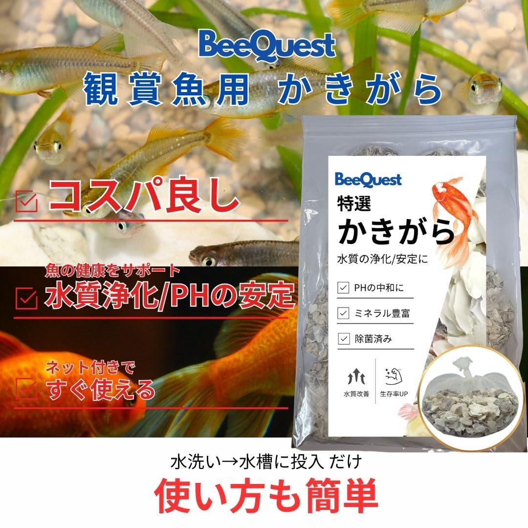 Amazon.co.jp: 【BeeQuest】 国産牡蠣殻 かきがら 6袋セット 水槽用