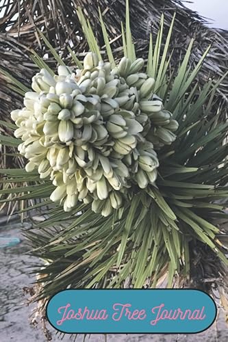 Joshua Tree Journal: Joshua Tree in Bloom