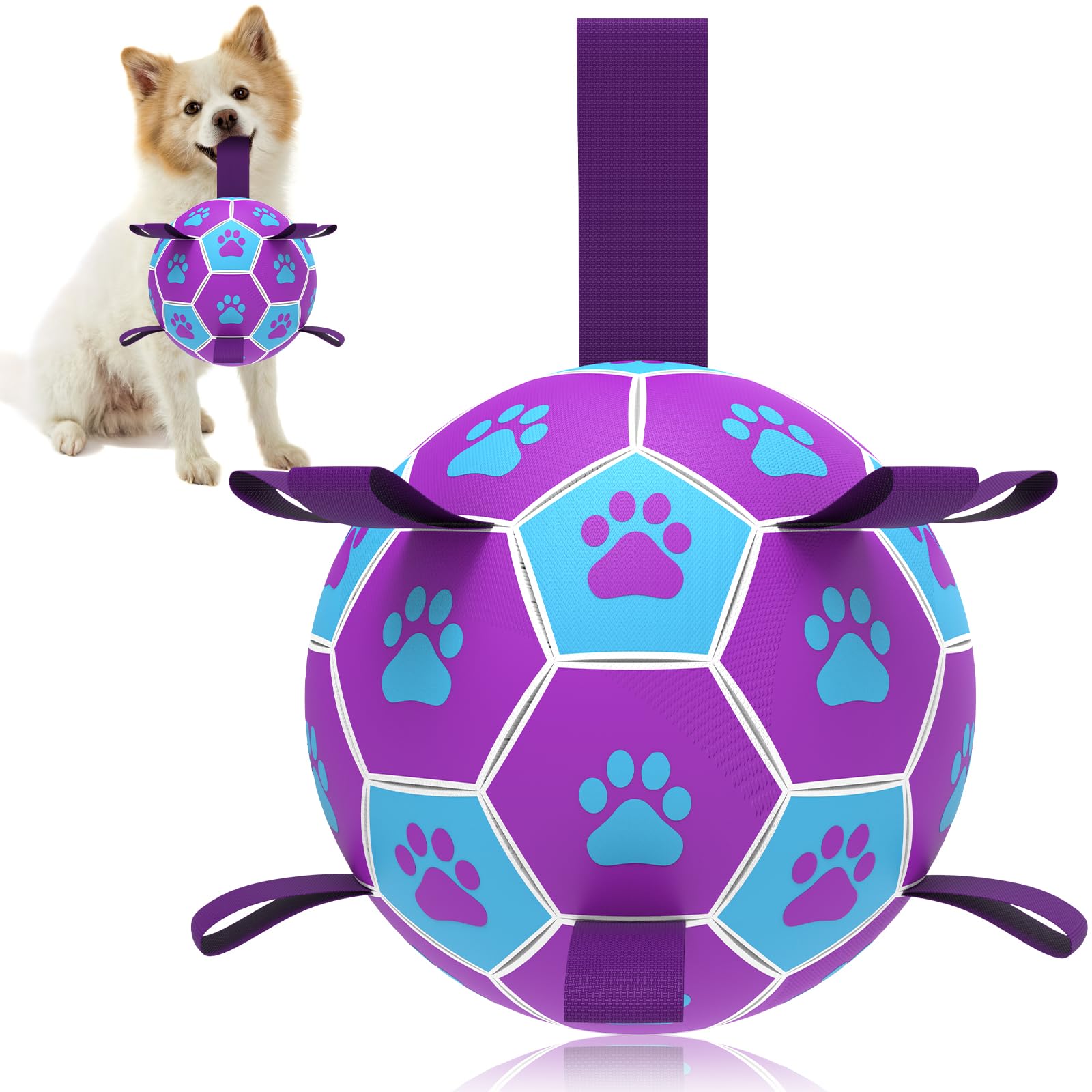 HETOO Dog Ball Toy Dog Football: Interactive Dog Balls with Webbing, Durable High Bounce Floating Dog Toys Balls for Dog Birthday Gifts Indoor & Outdoor Purple Blue Large (8 Inch)