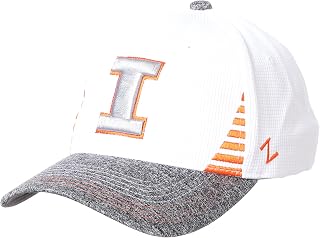 Amazon.com: Illini Hats