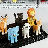 Ver la foto 6