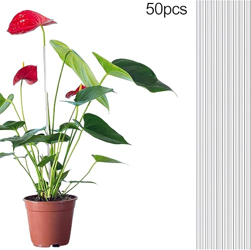 Miniatura 5 de 50 varillas de acrílico para plantas, estacas flexibles y duraderas para mejorar el crecimiento, estirables, soporte estable para plantas de jardín,
