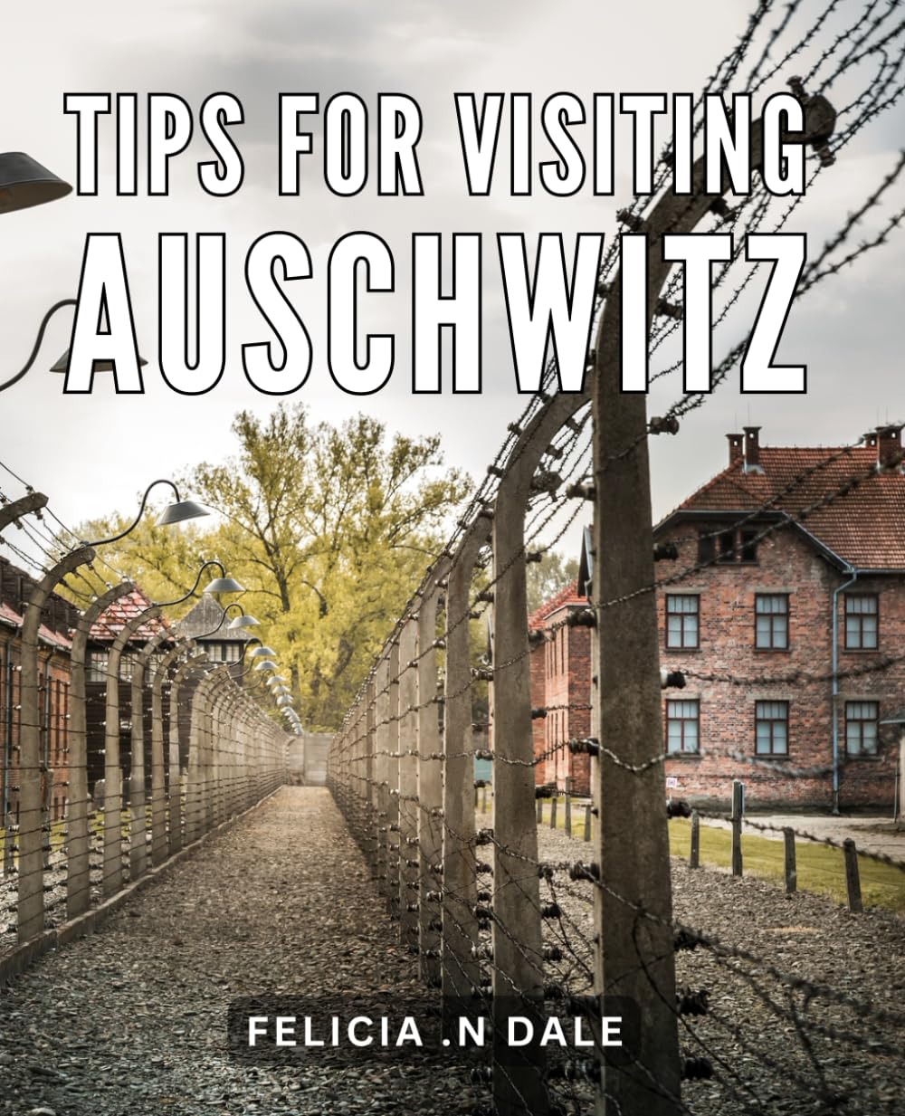 Tips For Visiting Auschwitz: Insider's Guide: Unforgettable Experiences and Essential Tips for Auschwitz Memorial Visitors