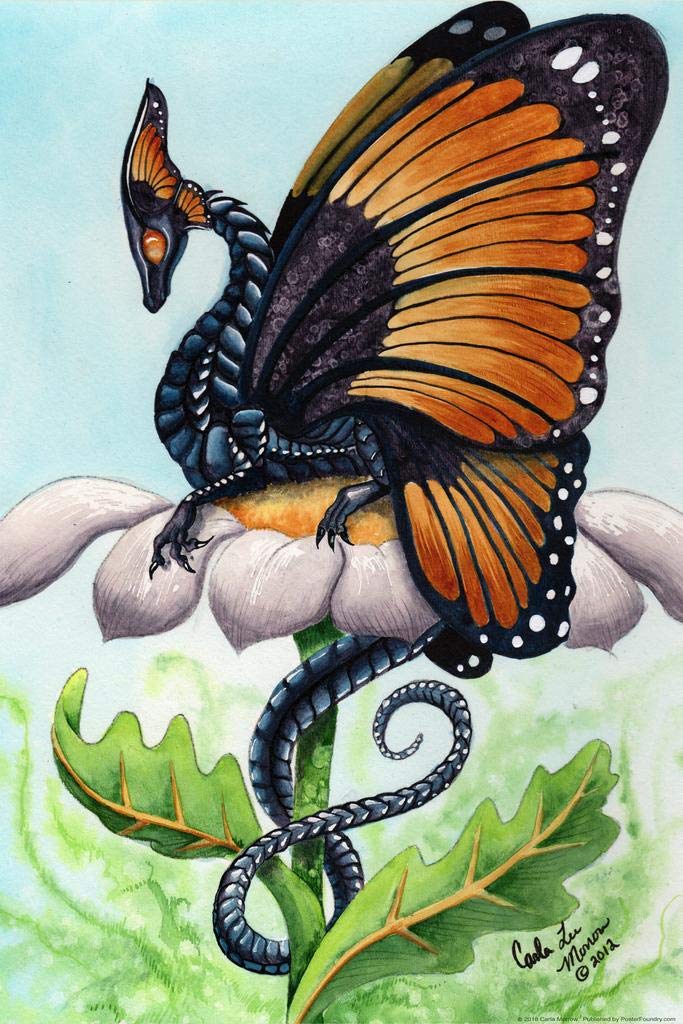 Amazon.com: The Monarch by Carla Morrow Butterfly Dragon Fantasy