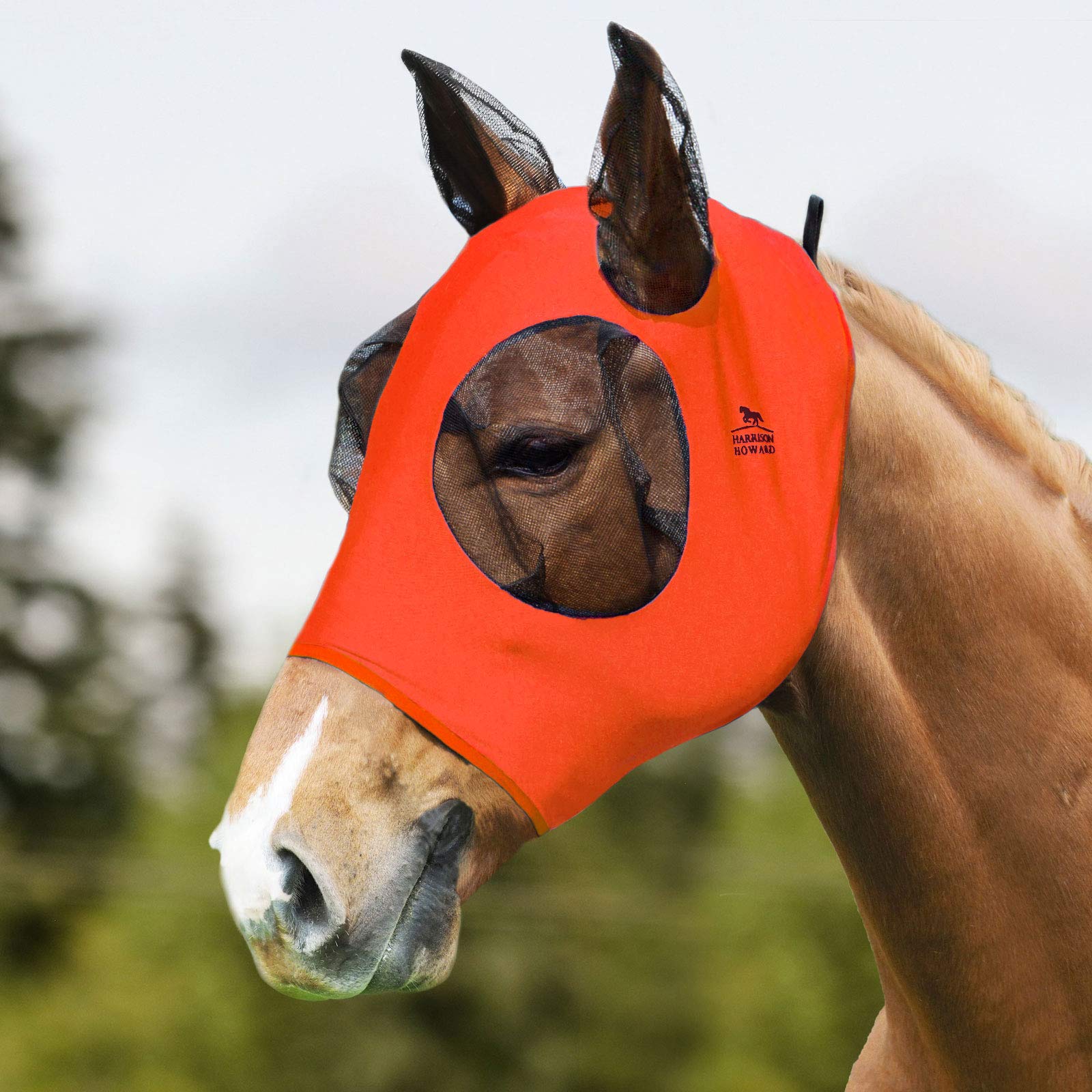 Harrison Howard Super Comfort Stretchy Fly Mask Large Eye Space with UV Protection Soft on Skin with Breathability- Azure Blue M — view 71