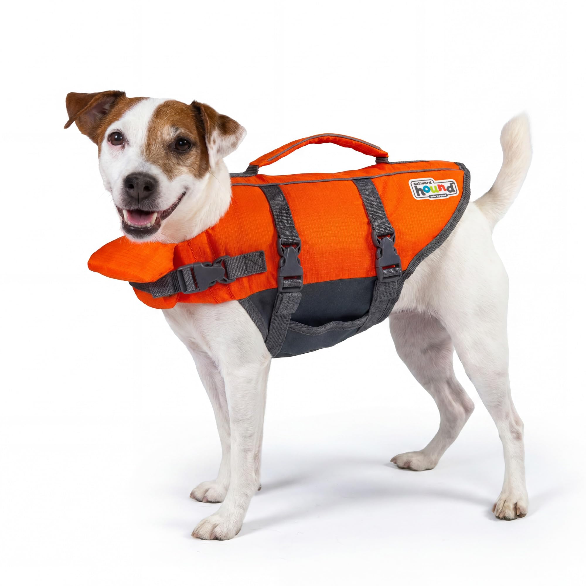 Amazon.com : Outward Hound Granby Splash Dog Life Jacket, Life