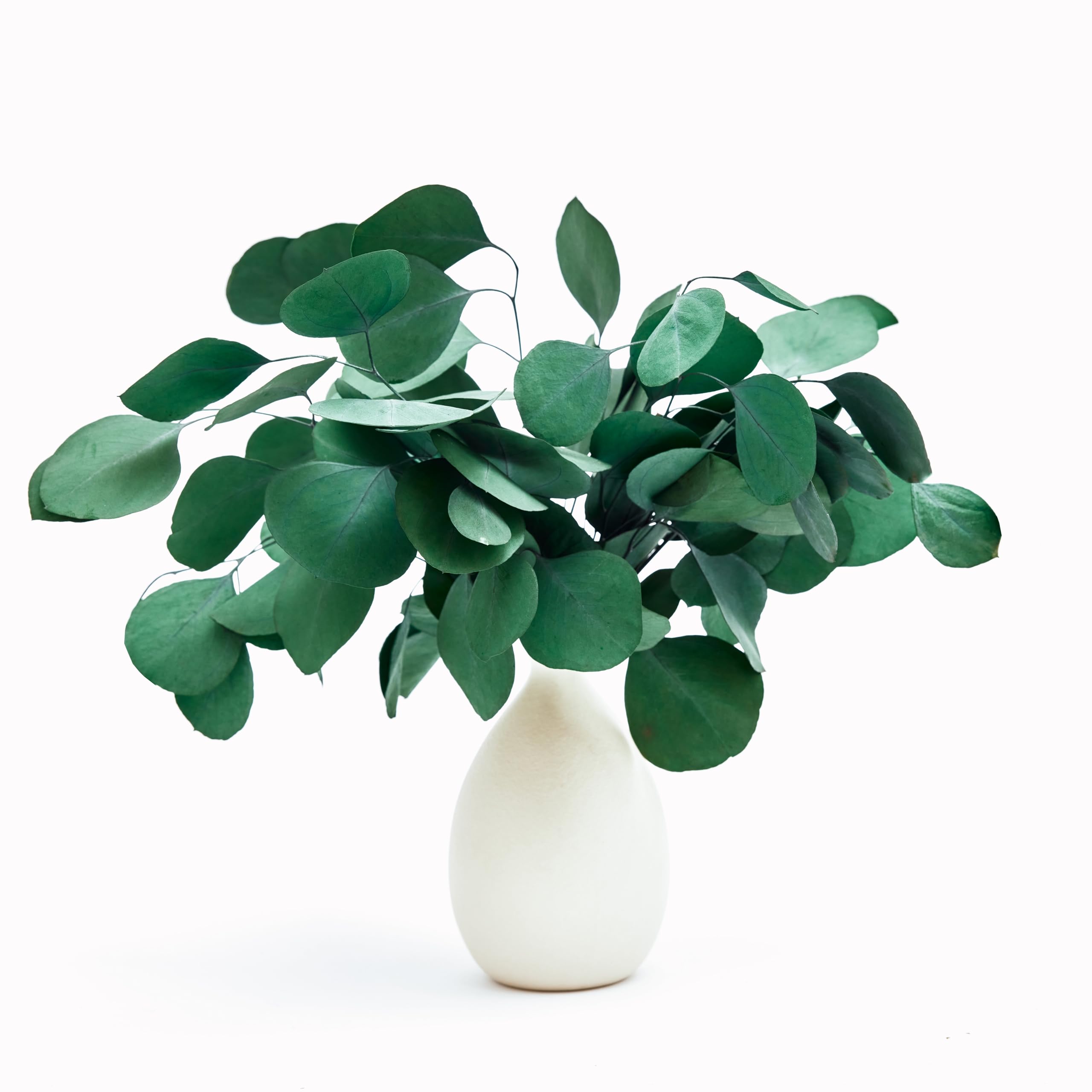 ZOMENT 12 pcs Real Dried Silver Dollar Eucalyptus Stems Leaves for Shower Made from Fresh Eucalyptus Centerpiece Table Decor Green Leaves for Wedding Home Vase Decor