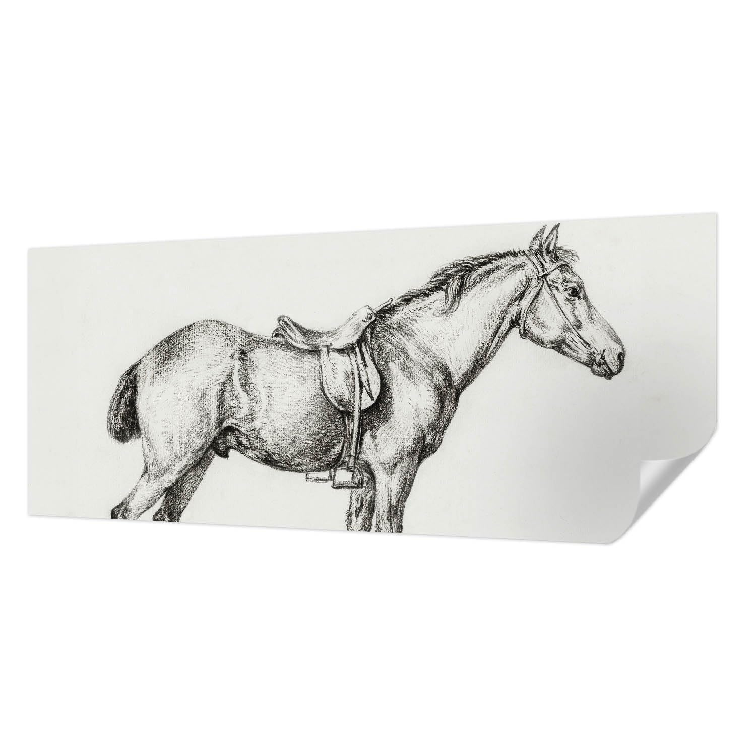 Pose murale papier peint panoramique cheval 250x104 résistant taches