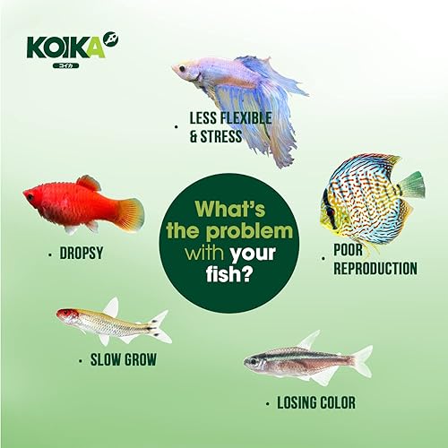 Miniatura 2 de KOIKA BAC+ Probióticos en polvo, olor agradable, probiótico superior, refuerzo de la inmunidad, resistencia a enfermedades (BAC+(polvo), 2.82 onzas