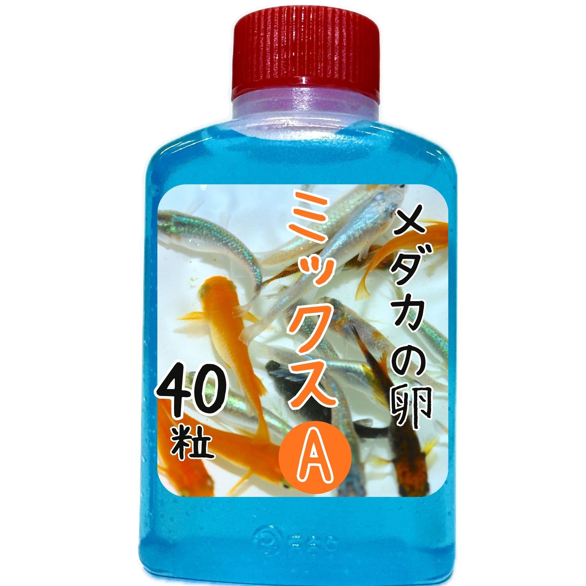 【おまかせミックス】めだかの卵 20粒＋α【発眼卵・有精卵】3品種以上入り 餌の…