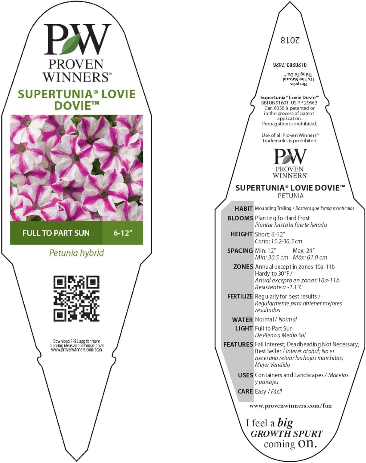 Proven Winners Supertunia Lovie Dovie Petunia Live Plant, Eco+ Grande, 4 Pack