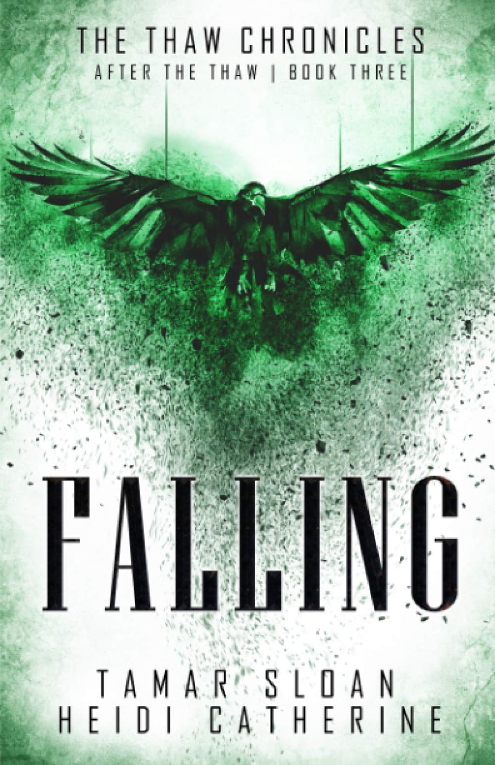 Cover of Falling