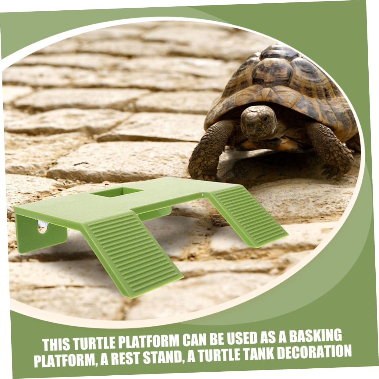 BESPORTBLE 4pezzi Piattaforma Galleggiante per Tartarughe con Ventosa Terreno di Basking per Acquari e Terrari Accessorio per Rettili Facile da Usare e Leggero