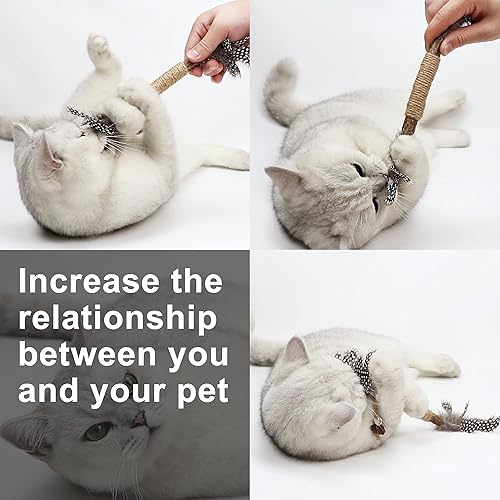 Miniatura 6 de PAZ'S GIFT Juguete de hierba gatera Juguetes para gatos Gatera, juguete masticable para gato, patadas, plata, palo, limpieza de dientes, lindo