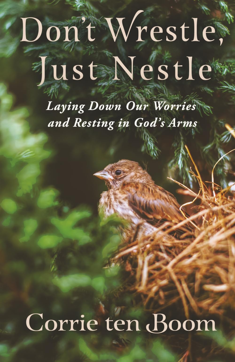 Don't Wrestle, Just Nestle: Laying Down Our Worries and Resting in God's Arms