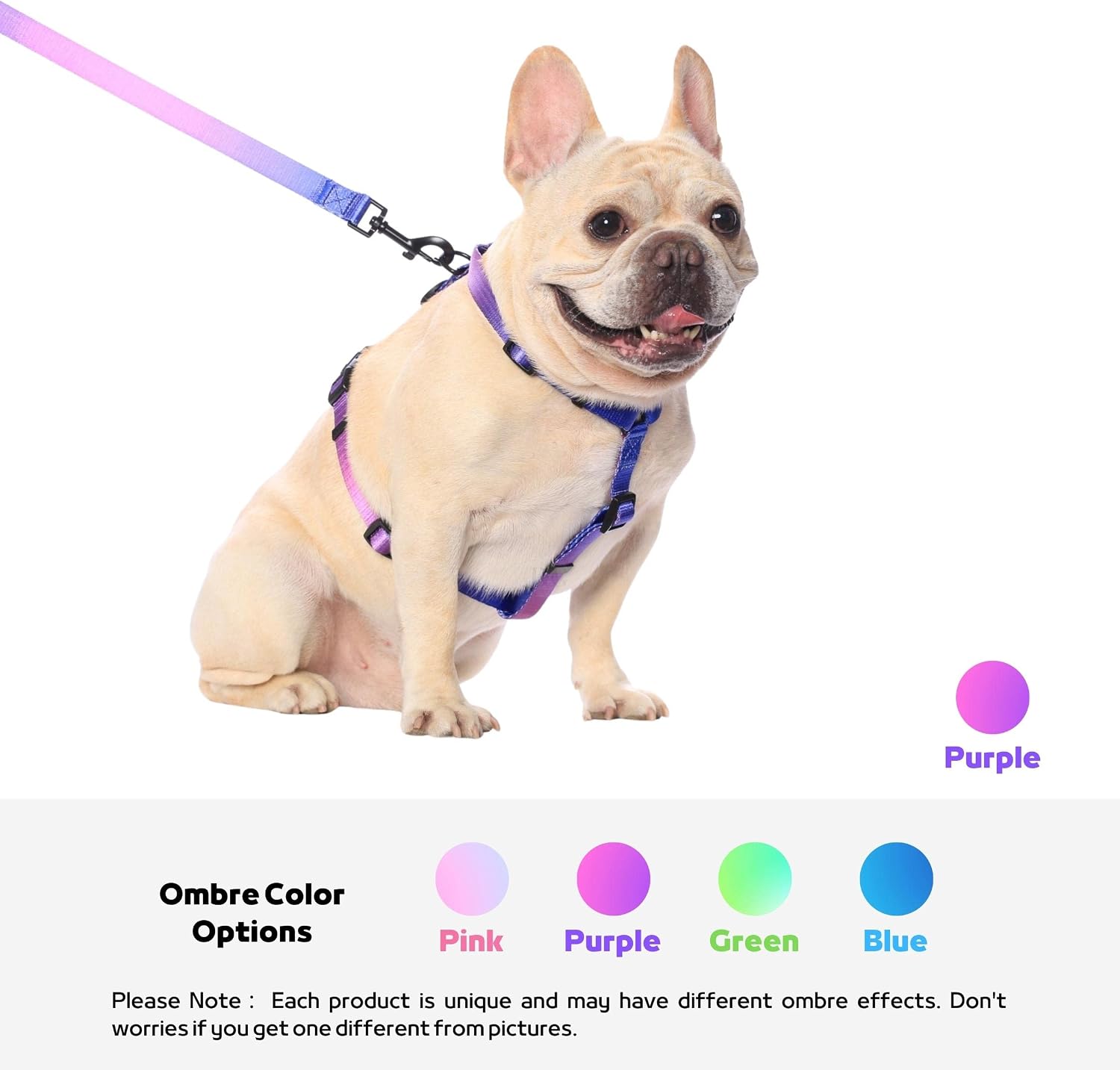 Dog Harness and Leash Set for Medium Dog, Cute for Girl Dog, Purple Ombre, M