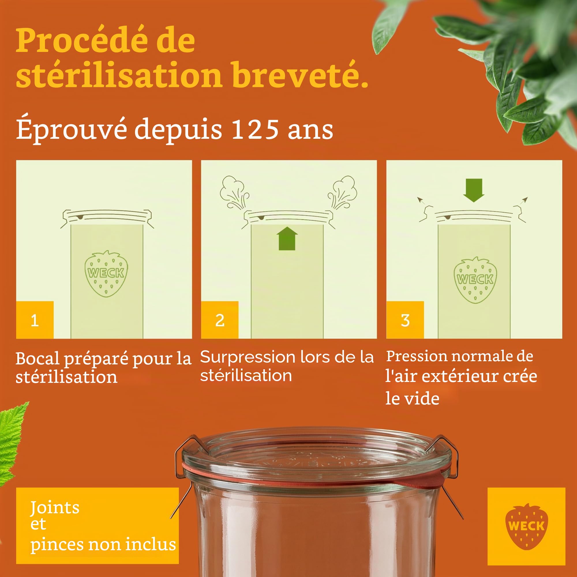 Weck Lot de 6 bocaux cylindriques de 1500 ml - Bocaux en verre avec couvercle - Pour la conservation des conserves, des jus, pour le stockage hermétique des ingrédients secs