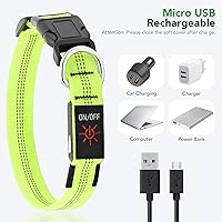 Vista 5 de Weesiber Collares de perro con luces LED recargables, luces reflectantes ajustables para perros para caminar por la noche (verde, S)