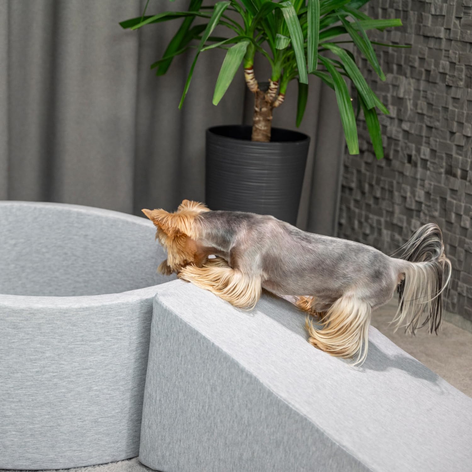 Rampe pour Chien Et Chats Animaux Rampe pour Canapé Et Lit Rampe avec Housse Amovible, Bleu Foncé