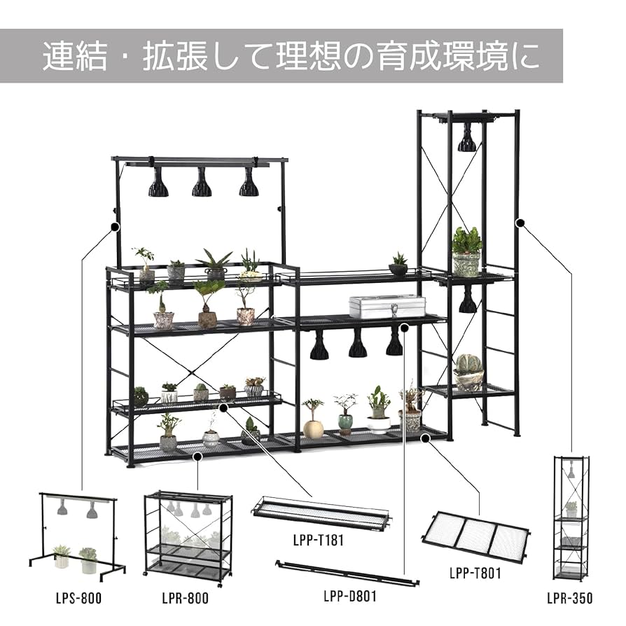 Amazon | BIBILAB(ビビラボ) ビザールプランツラック LPR-800-BK